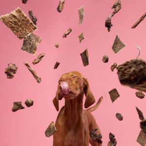 Biscuit “Calme & Truffe” – Camomille & Pomme