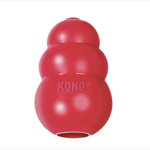 Jouet chien caoutchouc kong